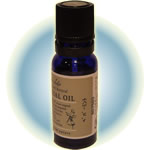 �y�p�[�~���g