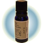 �������O���X