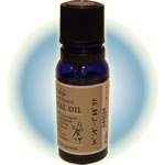 ���x���_�[