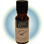 �X�p�C�N���x���_�[