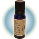 �C�����C����